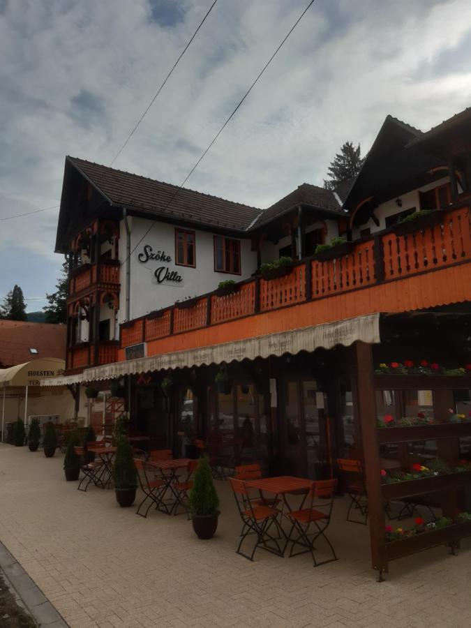 Vila Szoke โซวาตา ภายนอก รูปภาพ
